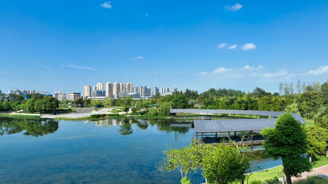 龙府生活场景 1