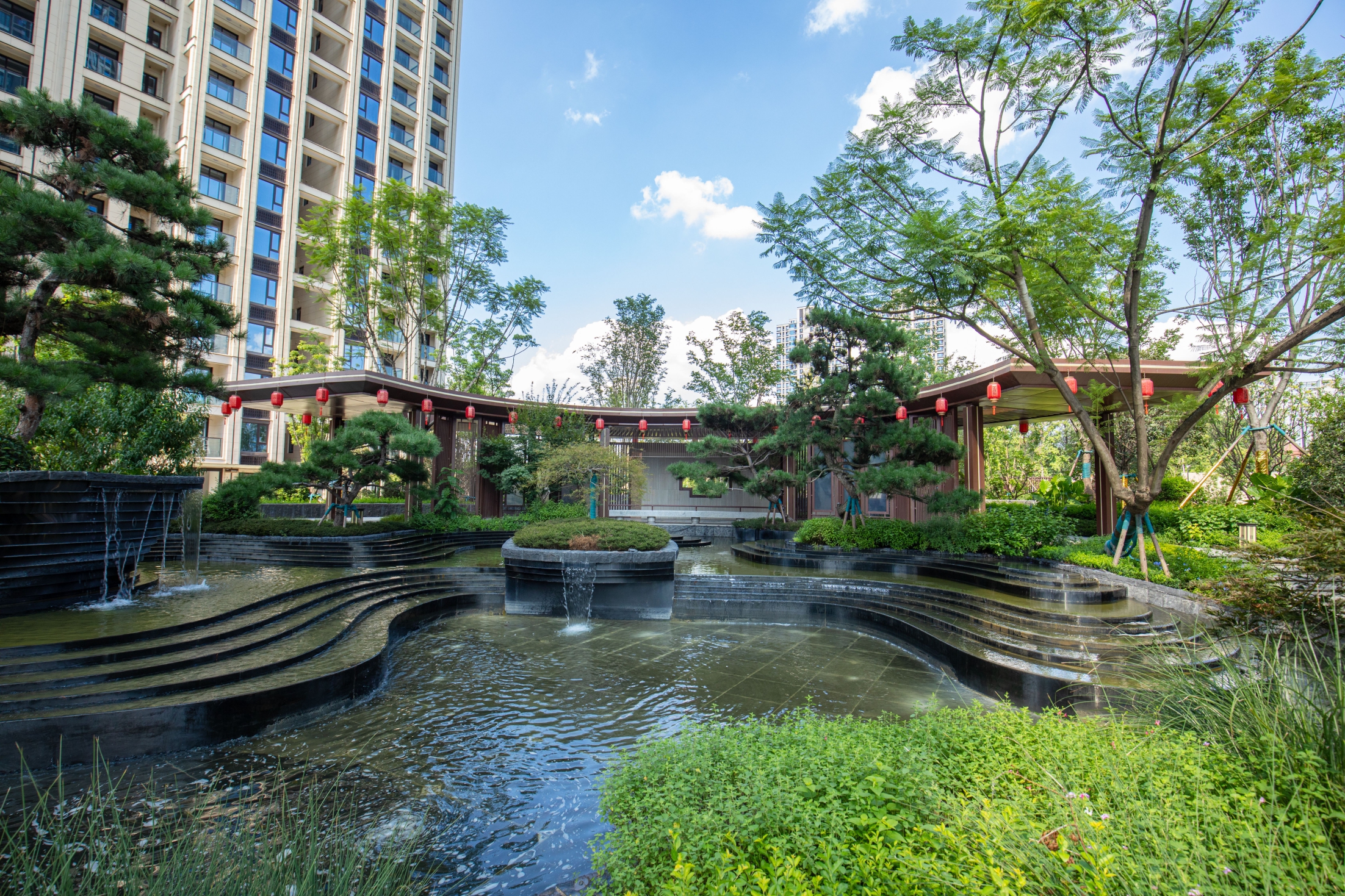 龙府项目主视觉